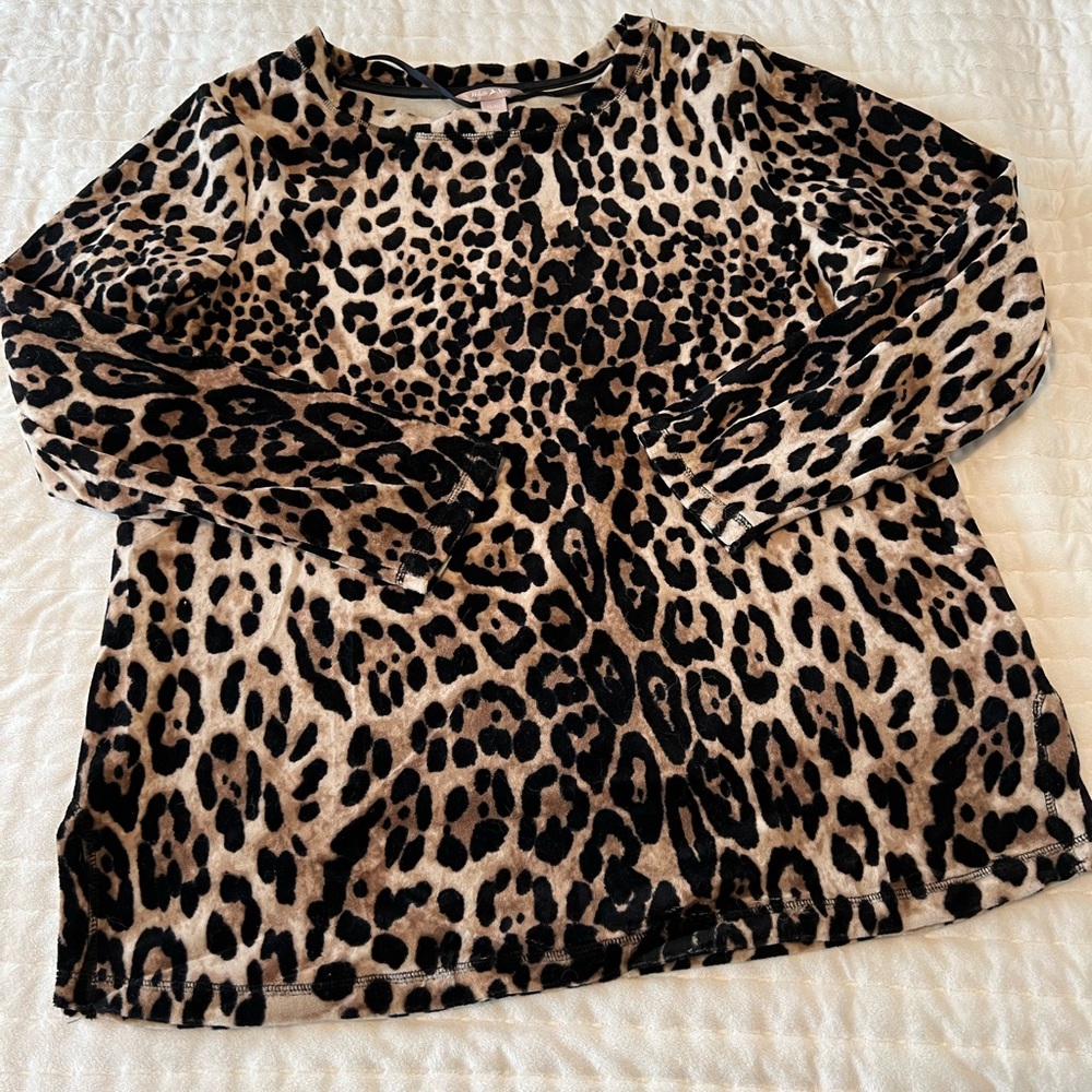 Leopard 🐆